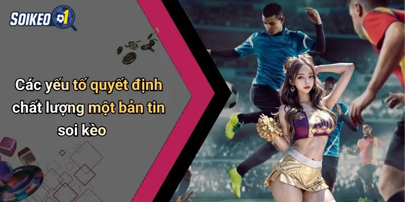 Các yếu tố quyết định chất lượng một bản tin soi kèo
