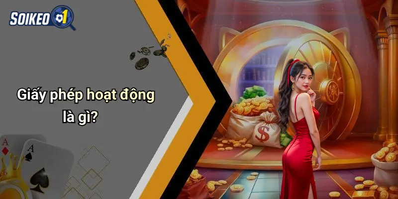 Giấy phép hoạt động là gì?