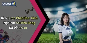 Kèo Cược Phạt Đền: Kinh Nghiệm Soi Kèo Bóng Đá Đỉnh Cao