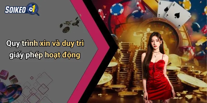 Quy trình xin và duy trì giấy phép hoạt động