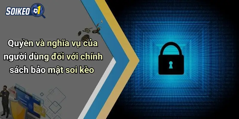 Quyền và nghĩa vụ của người dùng đối với chính sách bảo mật soi kèo