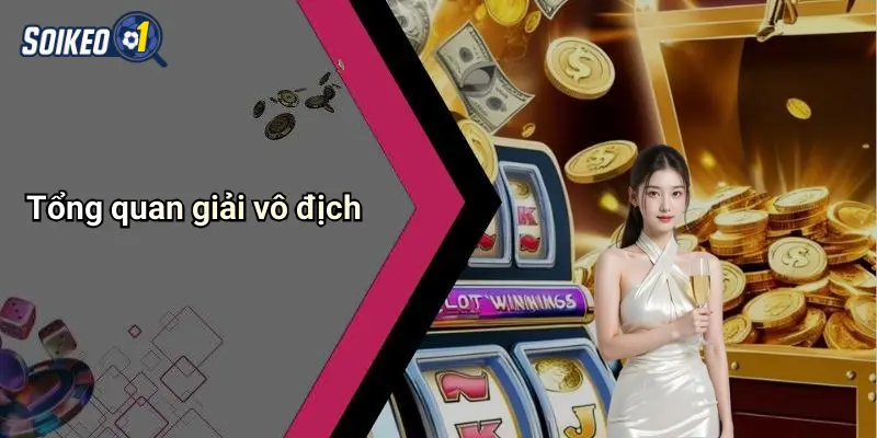Tổng quan giải vô địch
