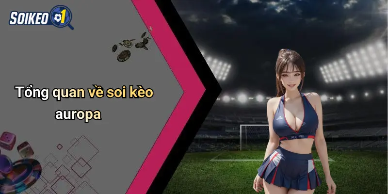 Tổng quan về soi kèo auropa