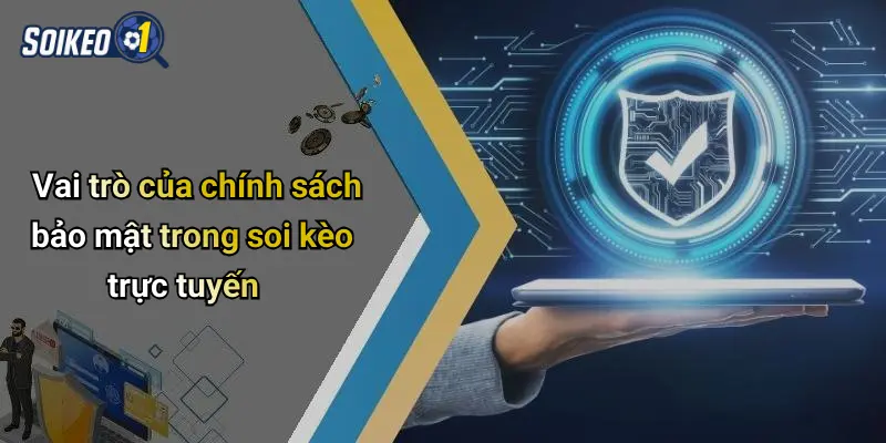 Vai trò của chính sách bảo mật trong soi kèo trực tuyến