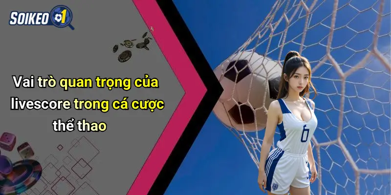 Vai trò quan trọng của livescore trong cá cược thể thao