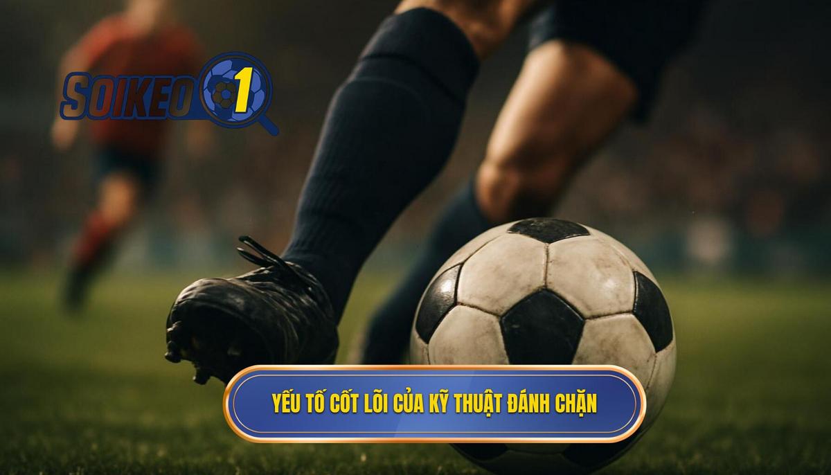 Phần 2_ Các yếu tố cốt lõi tạo nên Kỹ thuật đánh chặn bóng thành công