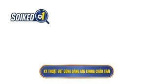 Kỹ thuật sút bóng bằng má trong chân trái