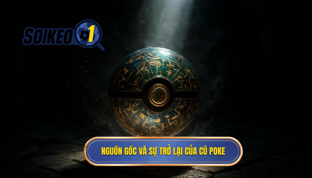 Nguồn gốc và Sự trở lại của Cú Toe Poke