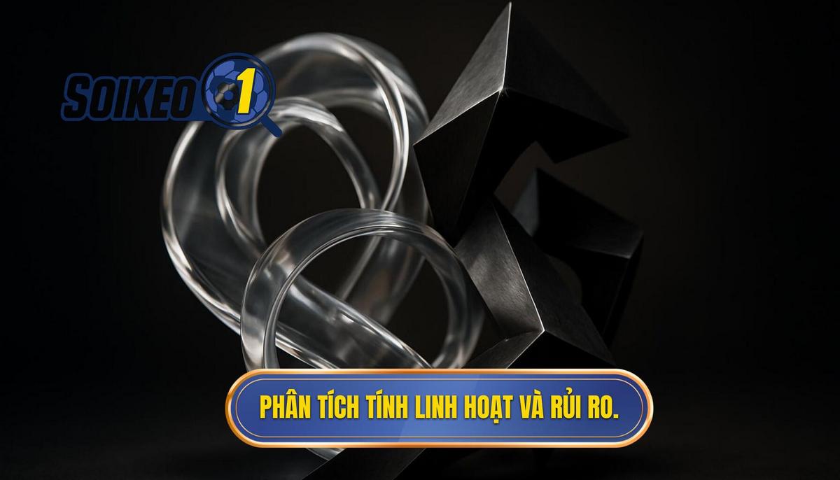 Phân tích chuyên sâu về tính linh hoạt và rủi ro