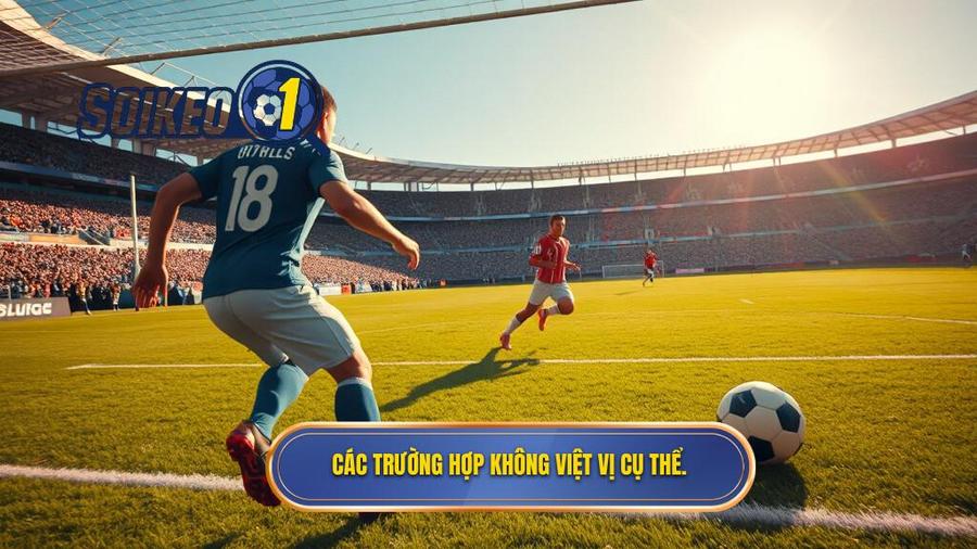 2. Các trường hợp không việt vị cụ thể.