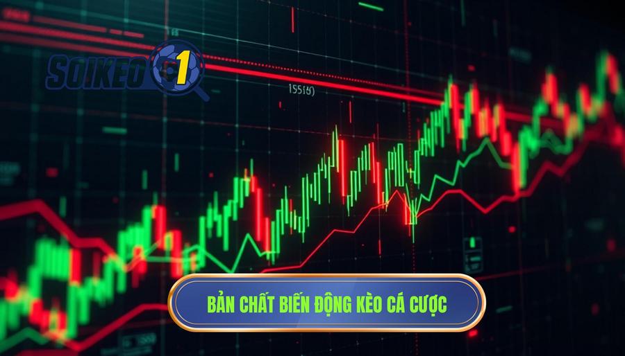Bản chất biến động kèo cá cược