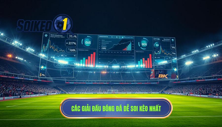 Các giải đấu bóng đá dễ soi kèo nhất