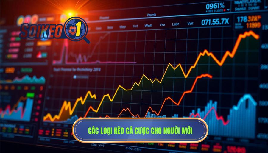 Các loại kèo cá cược cho người mới